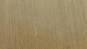 European Oak wood flooring -AB- White100
