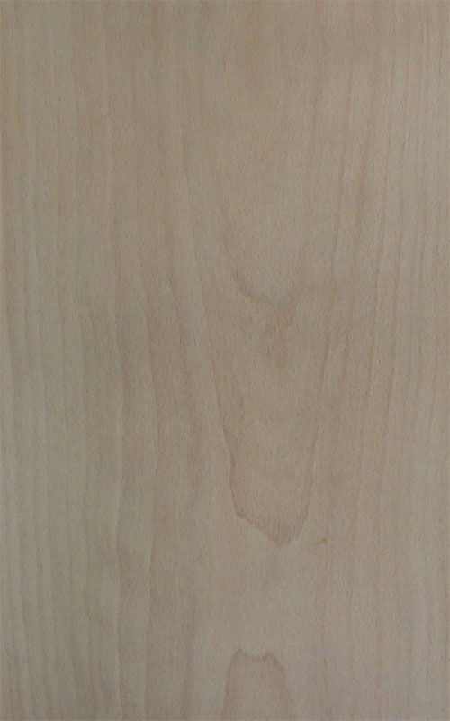 beech wood floor baro20W50