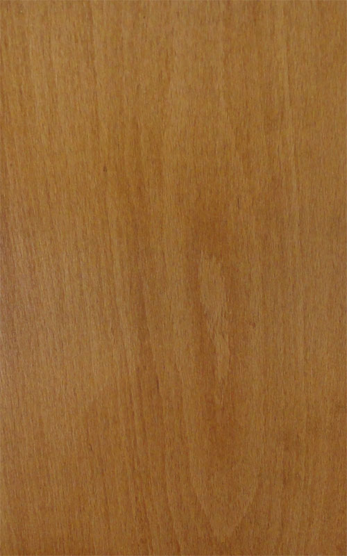 beech flooring teak